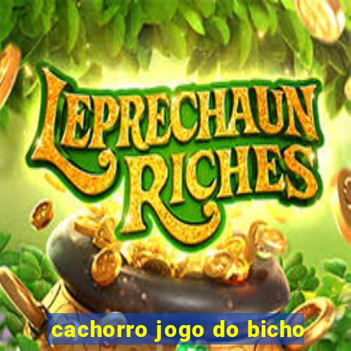 cachorro jogo do bicho